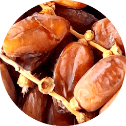 Kurma Tunisia Tangkai